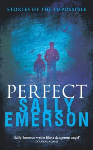 Perfect, Stories of the Impossible by Sally Emerson (2022, Trade Paperback)