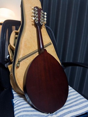 Kentucky Army Navy Mandolin KM120 | eBay