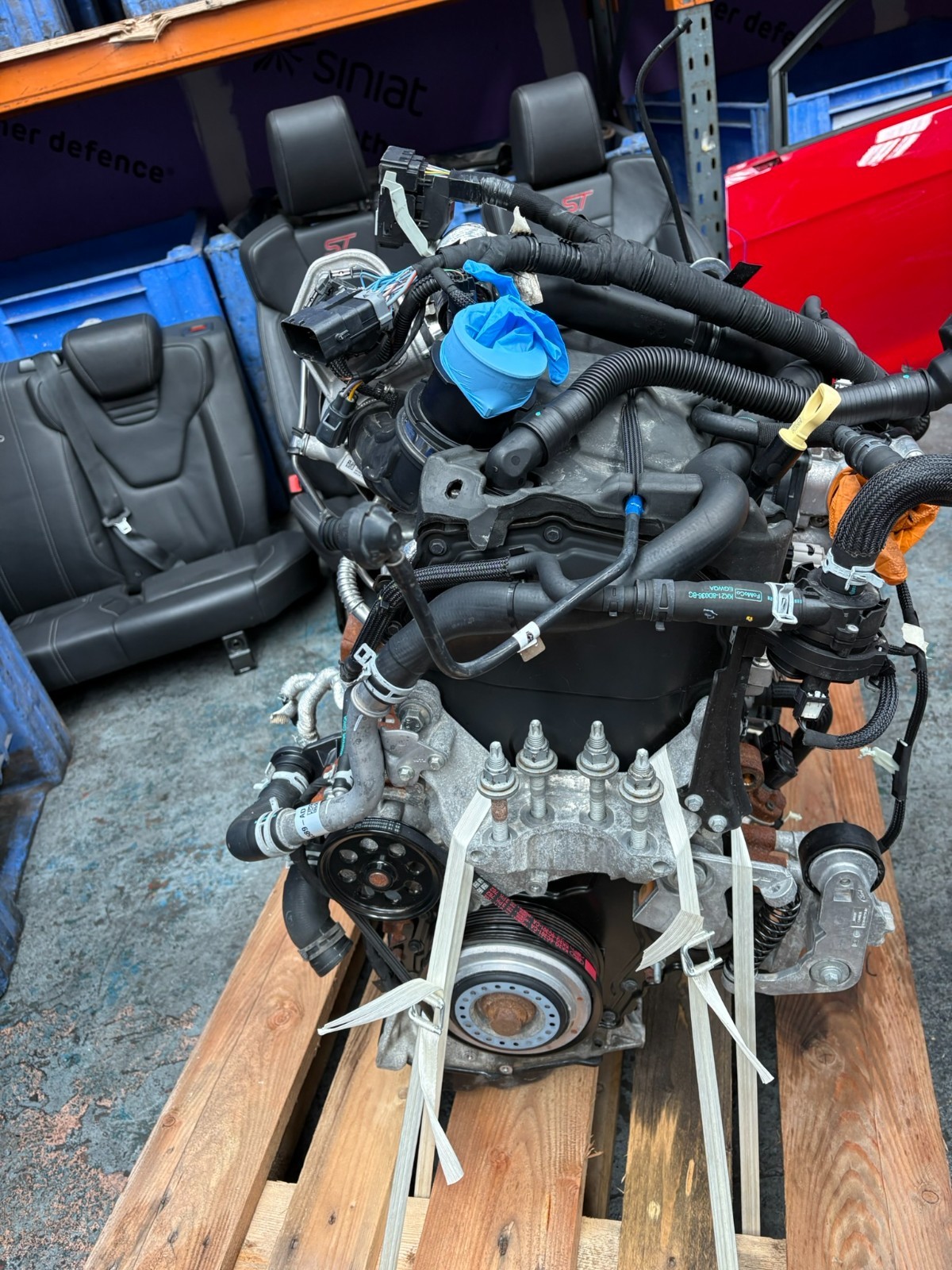 Picture 5 of 12