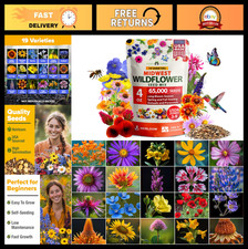 65,000+ Heirloom Wildflower Seeds Mix - Attract Bees, Birds & Butterflies, 4 oz 159.96 per gallon