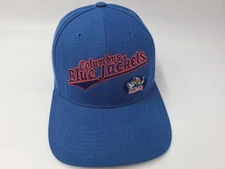 Vintage Columbus Blue Jackets Stringer Bug Twins Enterprise Snapback Hat Cap NHL
