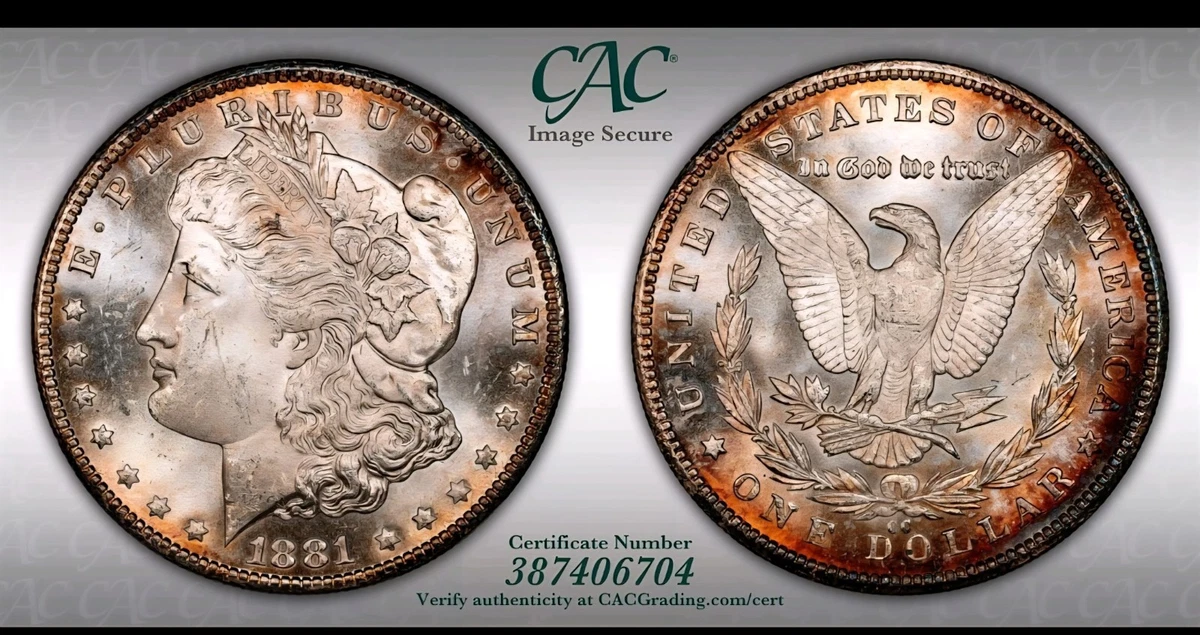 MS 62 Graded 1881 Year Morgan US Dollars (1878-1921) for sale | eBay
