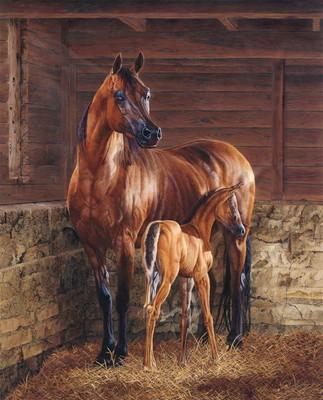35'' Fabric Panel | David Textiles God Created A Horse Stable Farm Scene