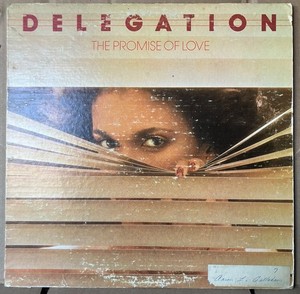 Delegation the Promise of Love | eBay
