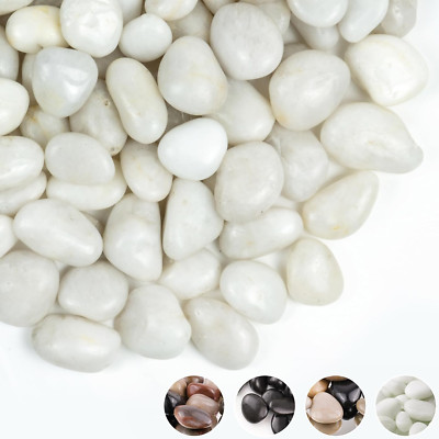 2Lbs White Pebbles for Indoor Plants, 1-2Inch Natural River Rocks for Aquarium, 