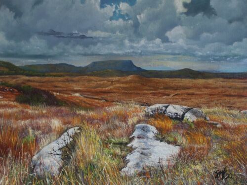 Paintings of Donegal Ireland - Muckish  Bogs (Not Framed) - Foto 1 di 4