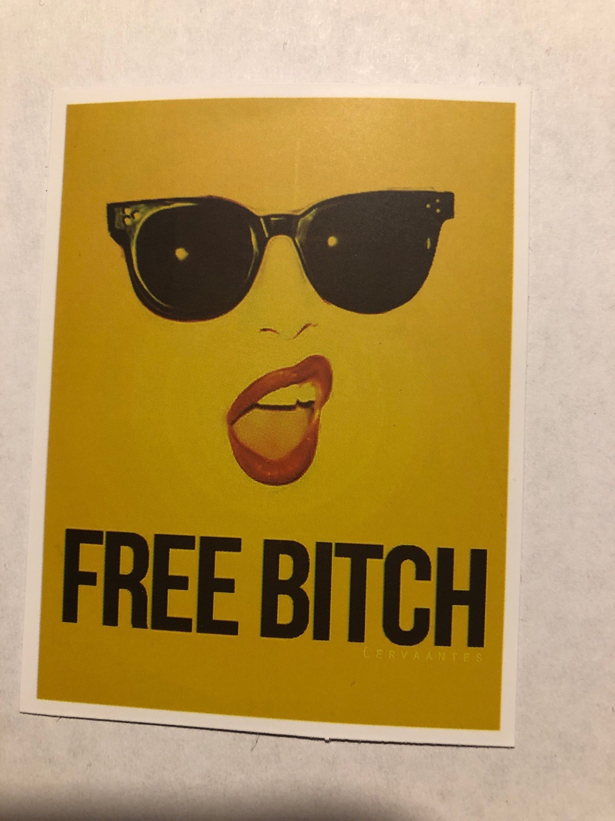 Free Bitch Funny Adult Humor Skateboard /Laptop/ Guitar Decal Sticker B2Q