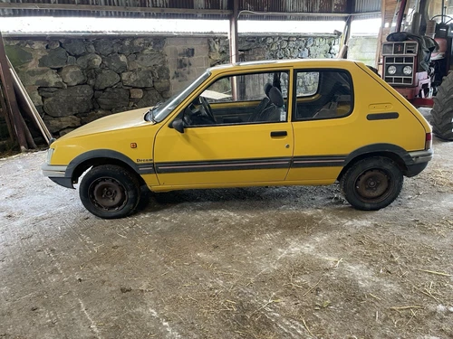 Peugeot 205 1.8D XUD . Barn Find. Runs And Drives. Sat In Barn For Last 20 Years - Picture 1 of 11