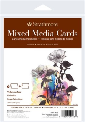 Strathmore Karten & Umschläge 5 Zoll x 6,875 Zoll 6/Pkg - Mischmedien - P205462