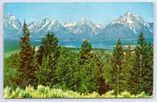 1959 Teton Range from Signal Mountain Jackson Hole Wyoming WY Postcard
