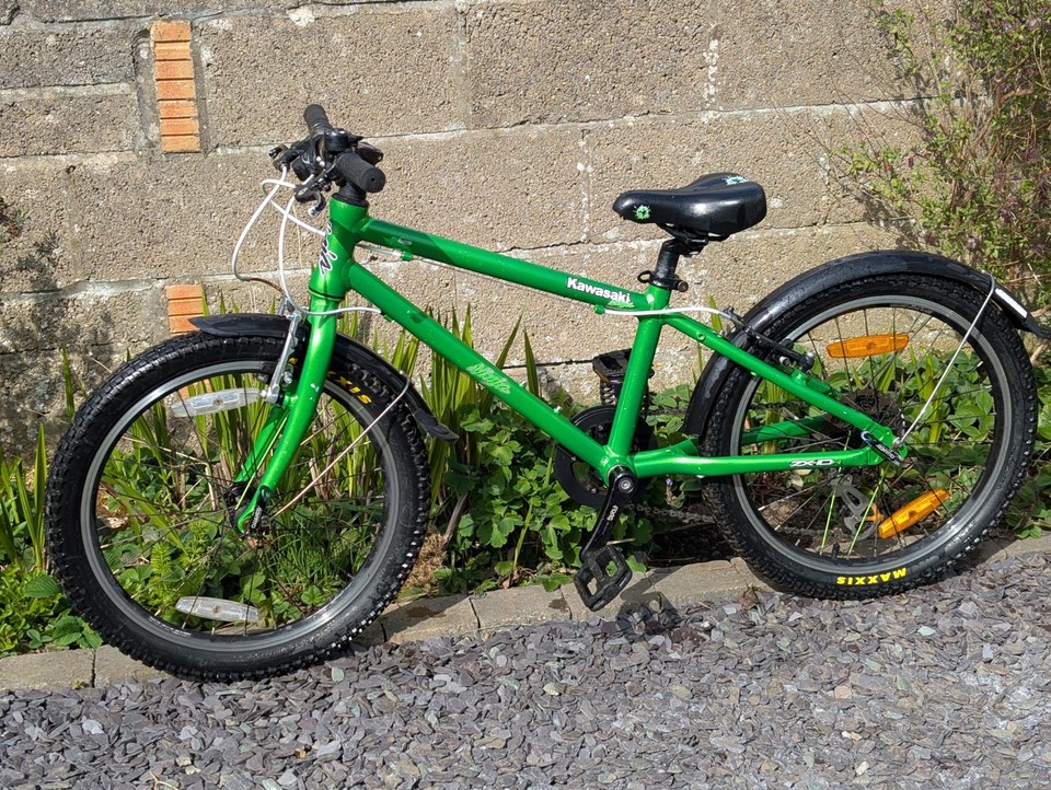 Frog 53 Hybrid Kids Bike 20-inch Age 5–7 - good conditional | eBay UK