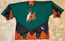 Vtg Pro Player Arizona Coyotes Hockey Jersey Sz L