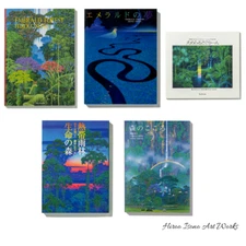 Hiroo Isono Art Book Set of 5 Emerald Dream Green +3 Titles Fantasy Japan