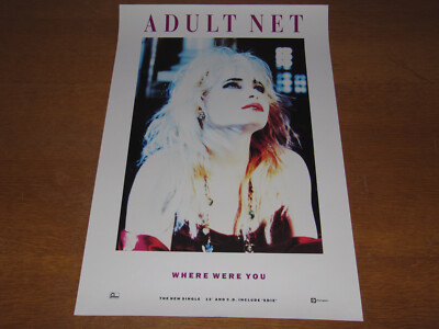 ADULT NET (BRIX E SMITH) - WHERE WERE YOU - ORIGINAL UK PROMO POSTER