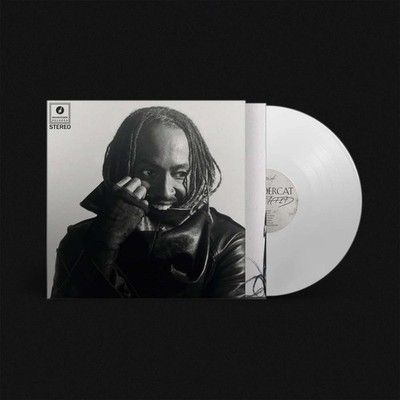 Thundercat - Distracted LP - SEALED NEW Vinyl Record