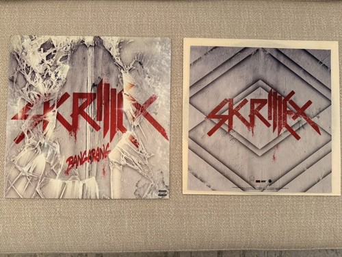 Skrillex Bangarang 180g Vinyl LP 2012 Big Beat Atlantic RSD Electronic Dubstep