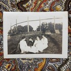 Antique VTG Snapshot Photo 1910s 1918 Man Flirting With Women Edwardian Era
