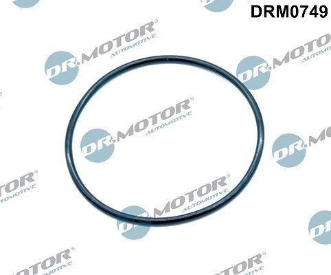 Dr.Motor Automotive Dichtung, AnsaugkrüMmer Agr-Ventil, An, KrüMmer-image