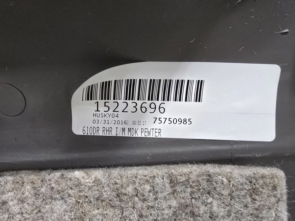 03-21 Chevrolet Express GMC Savana puerta trasera derecha interior panel de ajuste nuevo OE Foto 3 de 3