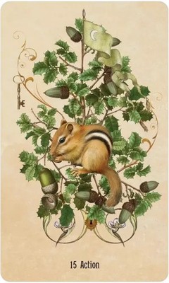 Unlocking the Secret Garden Oracle - Cartamundi