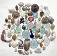 Genuine Surf Tumbled sea glass from japan shell mix