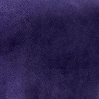 Denim & Co. Women's Top Petite PL Printed Velour Pullover with Blue A550322