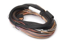 Haltech Io 12 Expander Box 8ft Flying Lead Harness Ab Box Haltech Io 12 Expander Box 8ft Flying Lead Harness Ab Box