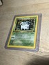 Pokémon TCG 1st Edition Nidoran Jungle Card 57/54