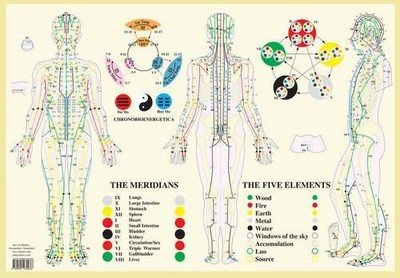 Meridians / Five Elements -- A2 - 9789491974038