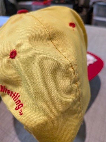 Vintage WCW World Championship Wrestling Hulk Hogan Embroidered Hat Snap Back - Picture 8 of 12