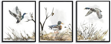 Duck Hunting Artwork Pictures Prints Nursery Decor for Wall, Mallard Duck Wall A