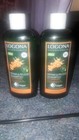 Logona Shampoo Repair & pflege beide zum verkauf