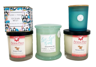 NEW - Pet Odor Neutralizing - CANDLE LOT of 5 - Sand + Paws Fog Eucalyptus Ocean