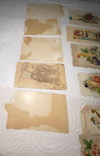 Victorian Calling Name Trade Cards Die Cut Decor-Jennie Dutton-Laura Peters - Picture 12 of 22