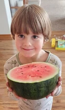 BLACKTAIL MOUNTAIN WATERMELON (30 Seeds Per Packet) Backyard Grown - Organic 🍉