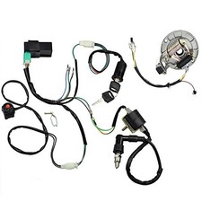 Kick Start Dirt Pit Bike Wire 50cc-125cc Wiring Harness Kit with 2-Coil Stator