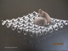 AUERHAHN DEKO SCHALE STRIPE, 37 CM X 37 CM, EDELSTAHL POLIERT