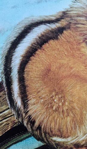Martin Katon Chipmunk and Acorns art on Canvas #'d Hand signed woodland animal - Picture 6 of 8