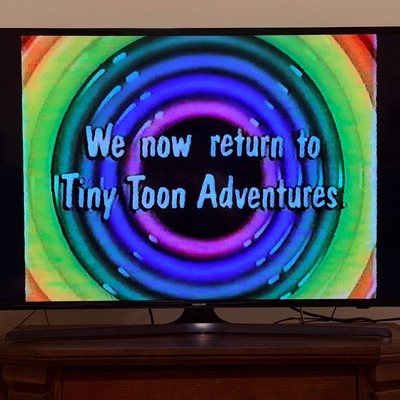 1992 Tiny Toon Adventures VHS woc 6 Hours 90s cartoons buster babs plucky hamton