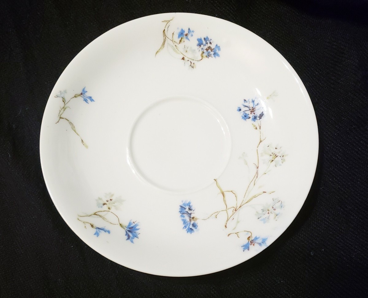 Limoges HAVILAND　(仏)ハンドペイントプレート　2枚 Limoges HAVILAND(仏)ハンドペイントプレート2枚