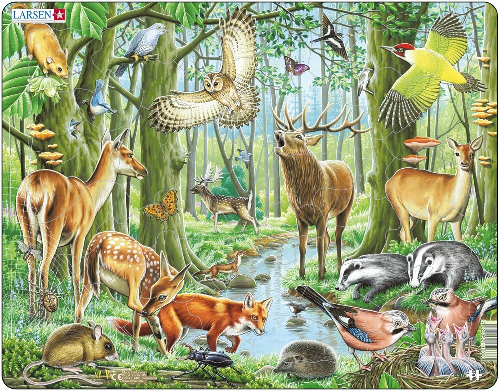 Larsen NA3 Puzzle della natura: Stagno, edizione Tedesco, Puzzle
