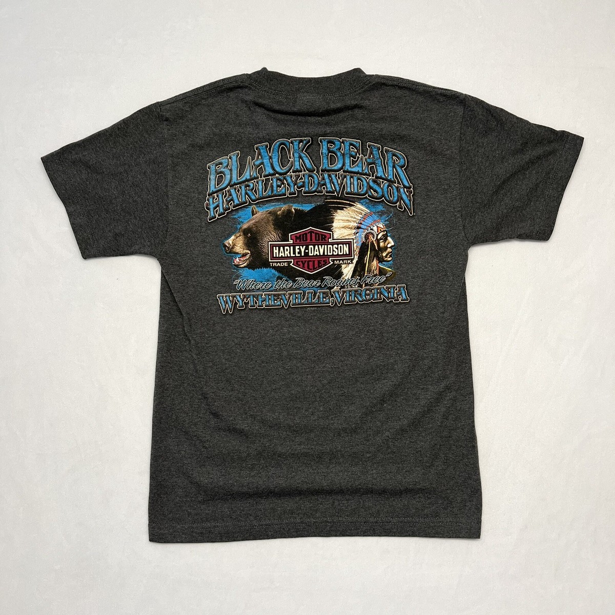 Harley Davidson Motorcycle Men's Gray T-Shirt size S (Wythville