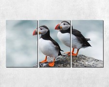 Atlantic puffins pair of exotic bird 3 Piece Panel aluminum metal print. pillows