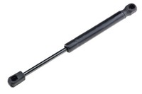 NTY Gasfeder Heckklappe FÜR L=256MM F=500N Ford Mondeo I/Mondeo II 93-96 /S