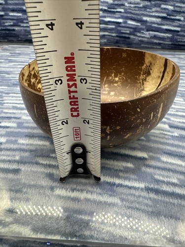 Kokosschale aus der Natur Handarbeit gefertigt {48} - Bild 11 von 11