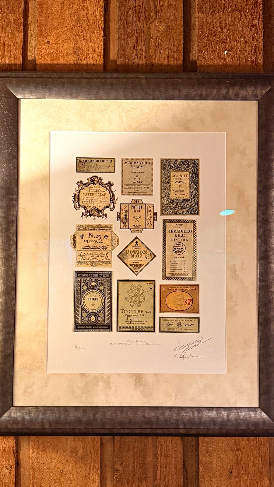 Harry Potter Mina Lima premium limited edition rare Potion Labels Framed Print