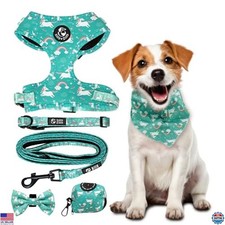 No-Pull Harness & Leash Combo - 6-in-1 Adjustable Vest & Collar for Medium Dogs