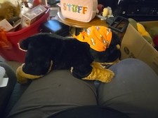 14" Harley-Davidson Stuffed Plush Black Tan Rottweiler Dog with Harley Bandana