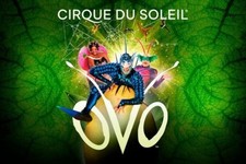 Vendo scontati 2 Biglietti Cirque du Soleil OVO Aprile 2026 Bergamo