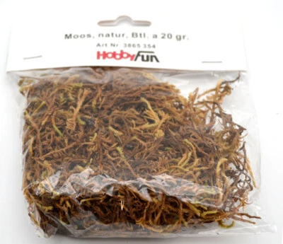 HOBBYFUN Moos natur Beutel 20 g Deko- und Bastelmaterial